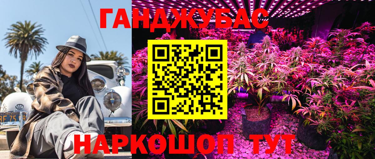 Канабис планчик  Вход с VPN  Канабис VHQ  Клинцы  Каннабис Ganja  МАРИХУАНА семена 